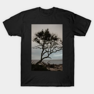 Driftwood Beach Tree T-Shirt